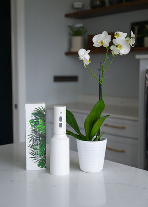 Mr. Mister USB Electric Plant Spray Bottle