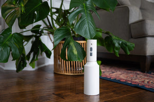 Mr. Mister USB Electric Plant Spray Bottle