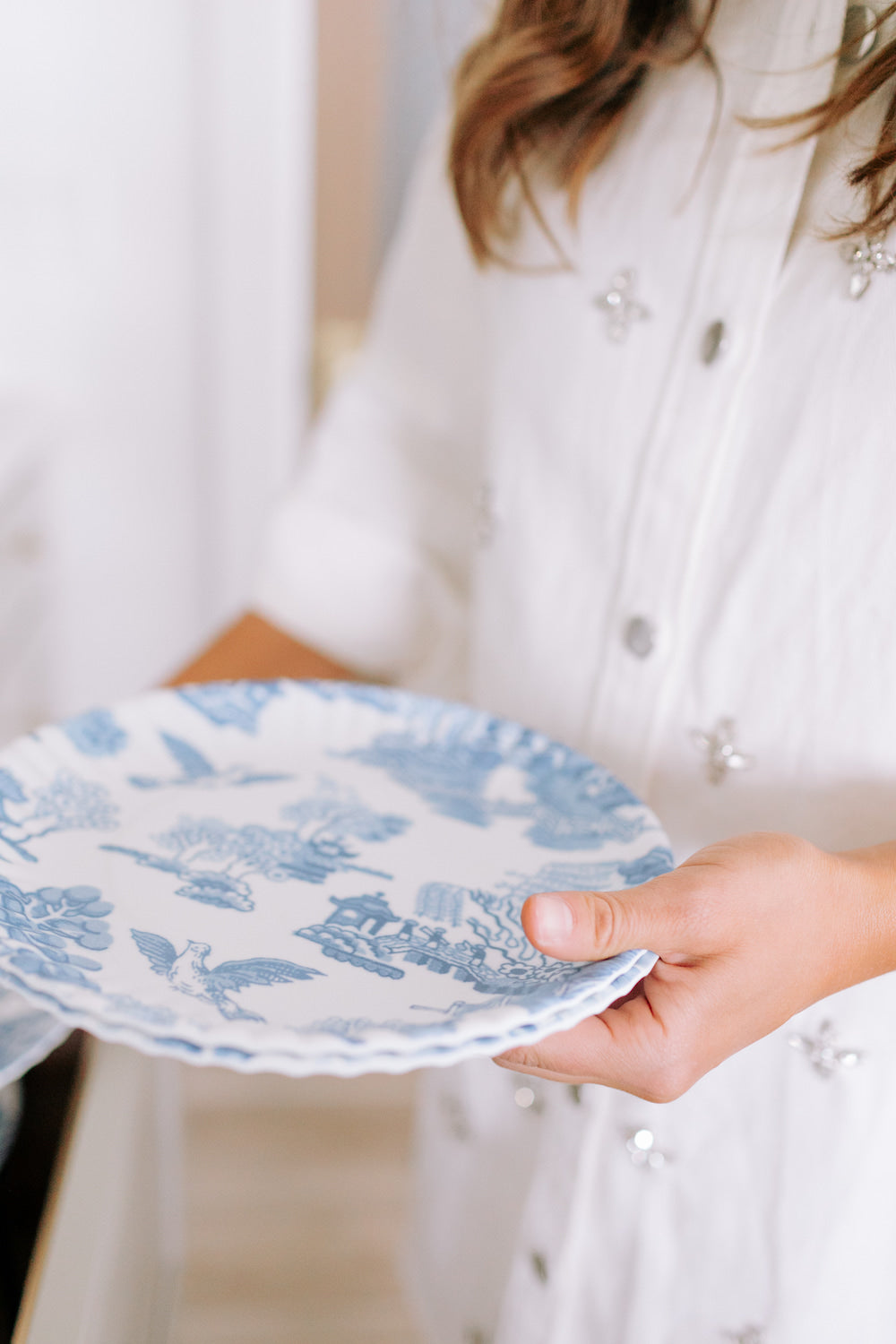 Pictorial Blue and White Paper Plate - Set of 4