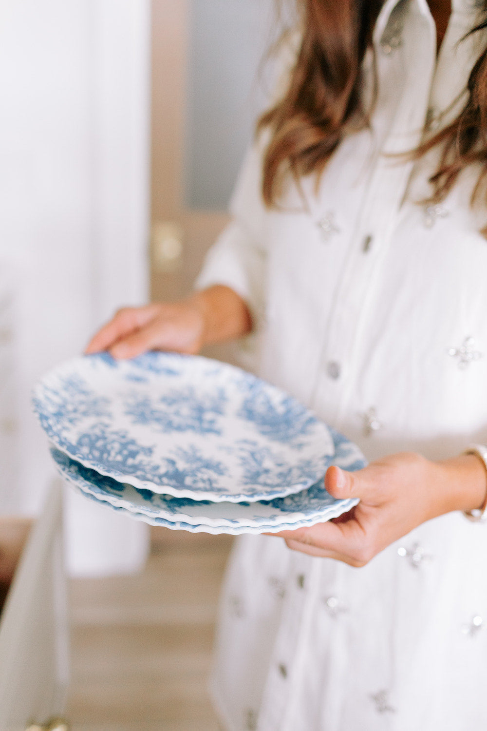 Pictorial Blue and White Paper Plate - Set of 4