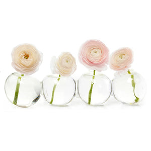 Caterpillar Glass Modern Clear Flower Vase