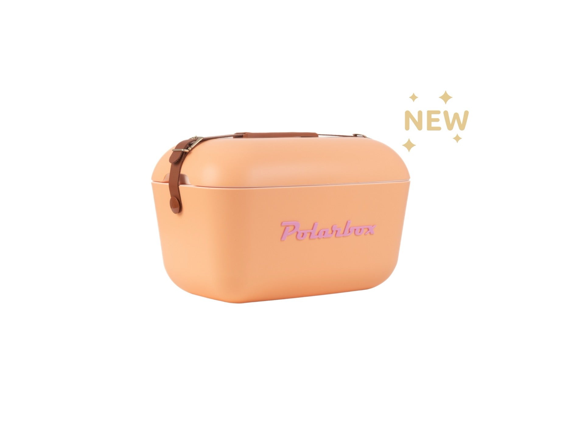 21 QT Retro Coolers