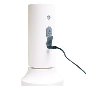 Mr. Mister USB Electric Plant Spray Bottle