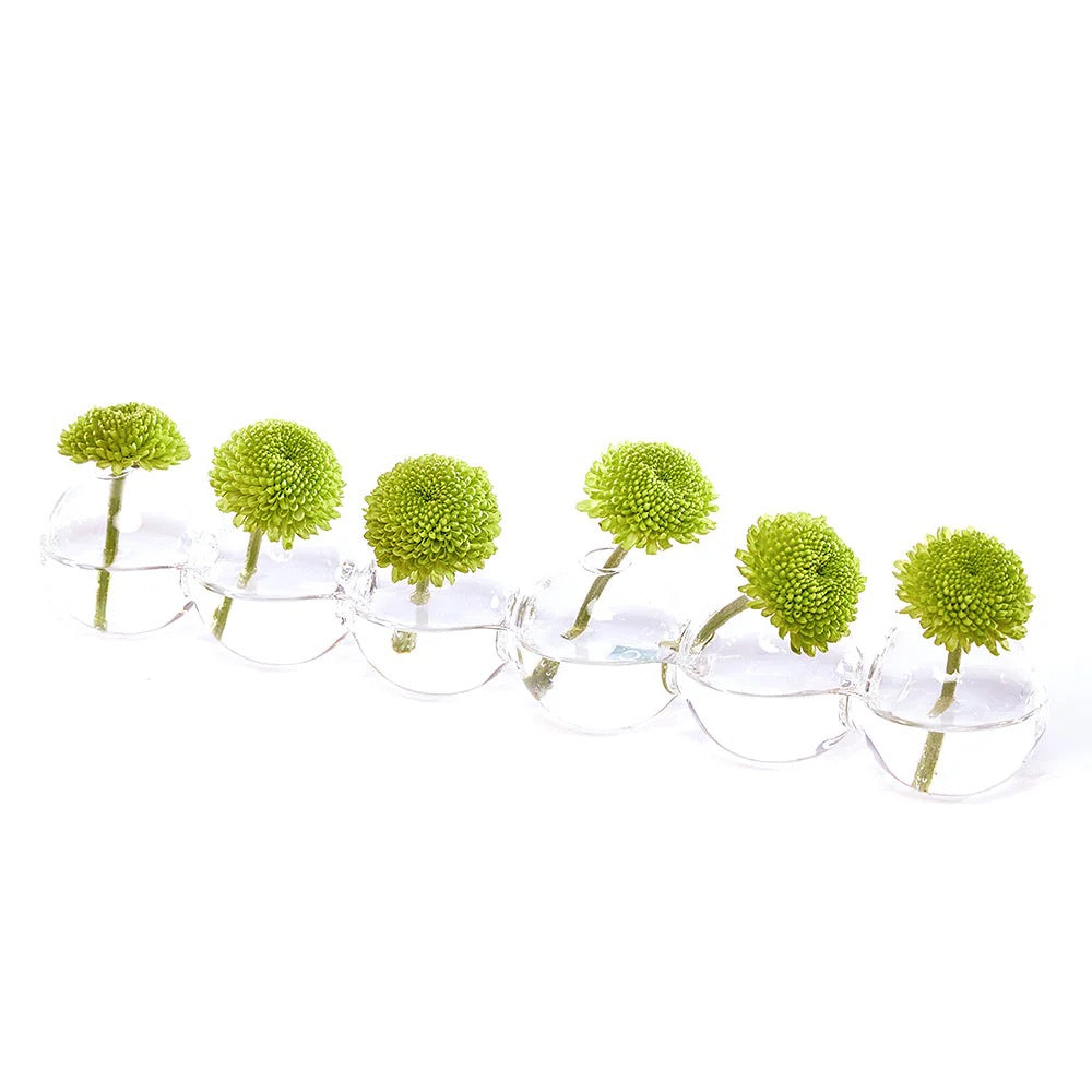 Caterpillar Glass Modern Clear Flower Vase