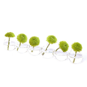 Caterpillar Glass Modern Clear Flower Vase